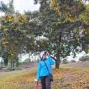 태국골프 그린월드 소식지 이미지