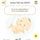 아가쇼핑 이미지