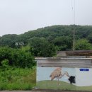 예강1리 게이트볼장 | 군위 금산, 자봉산, 도봉산