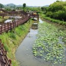 예당호느린호수길 이미지