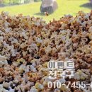 관창초등학교 | 팝콘과 솜사탕 행사가 필요 하다면 민속놀이 체험까지 완벽한 전문업체 후기