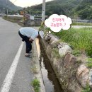 오리산단3로 | 하이필드보트 PA600으로 진도 앞바다 - 추자도 출조&amp;보팅 후기