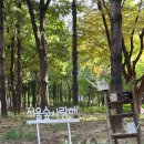 단골네일