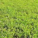 빛나농장 이미지