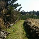 월평다라쿳당 이미지