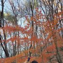 바람의언덕 동해타파스 와인&비어 이미지