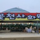 천사꽃화원 이미지