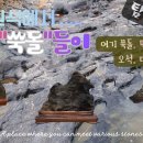 청천대로 이미지