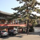 엄광산 동구경계 이미지