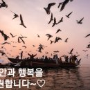 베레쉬트