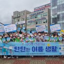 맵시 이미지