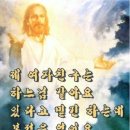 뉴코리아 이미지