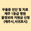함내과의원 | 우울증 진단 및 치료 제주 1등급 병원 꿀정보와 지원금 신청(제주시,서귀포시)