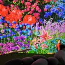 신라주유소 | 경주 라원 아이와 가기 좋은 동궁원 신상 미디어아트 체험관 요금 할인