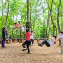 계남 유아숲체험원 이미지