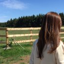 섬마을목장 이미지