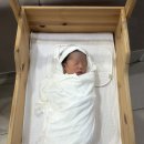 울산 북구 공공산후조리원 조기퇴소 후기 | 7박8일 사용후기 | 시설, 식사, 마사지 이용후기 |