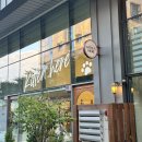 키튼히얼 고양이분양 김포본점 이미지