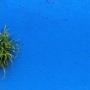 다시와요민박 이미지