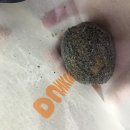 매직터치궐동점 | [인천여행/구월동 나들이] 구월동맛집 햇살찬한식뷔폐 + 구월동카페 디오더 + CGV 미션레이스