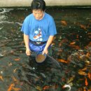 진천관상어 이미지