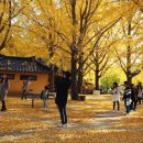 가을여행 이미지