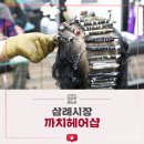 삼례미용실