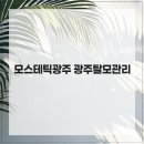 모스테틱광주 | 모스테틱광주 광주탈모관리