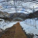 나실목장 이미지