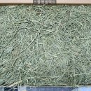 채릇채릇 이미지