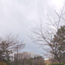 (주)라한호텔목포 이미지