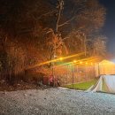 옥자네애견카페 유치원 호텔 미용 이미지