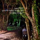 산양(산양보호구역) | 제주 산양큰엉곶 반딧불이 투어 후기와 팁 2024 일정 예약