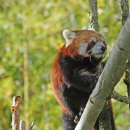 좌천동가구거리1 이미지