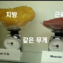 콩실언니 네이버블로그