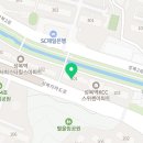 나노네 반려동물 미용 이미지