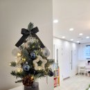 리틀피아니스트음악학원 이미지