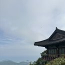 양화목장 | [일기] 2025년 5월 16일~5월 31일