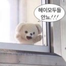 송정에너지 | 울산 송정 필라테스 체형교정부터 뷰핏관리까지 더뉴필라테스 송정점, 체험 후 내돈내산 등록까지 !