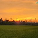 하나 태양광발전소 이미지