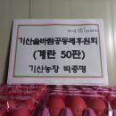 박종명 농장 충남일보