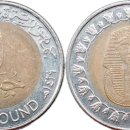 세계 각국의 동전 정리: 아프리카와 남아프리카의 동전 여행 이미지