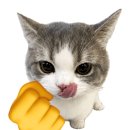 스텝복싱 - 달성군 테크노상업로 112 | [일산] 주엽 복싱장 추천 🥊 재밌는 복싱 체험 후기!