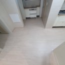 행정중앙1로 이미지