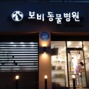 보비동물병원 이미지