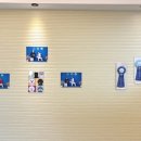 남현댕 애견미용 이미지