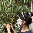 양산스타약국 | 5박 7일 시드니 여행✈️