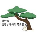솜프