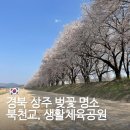 상주체육공원1 | 경북 상주 벚꽃 명소 북천교 생활체육공원 벚꽃길