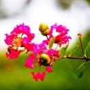 하영올레 1코스 이미지